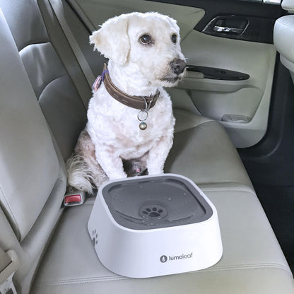 No-Spill Water Bowl for Dogs - Slow Feeder with Drip-Free, Splash-Proof Design (Grey, 35 Oz)