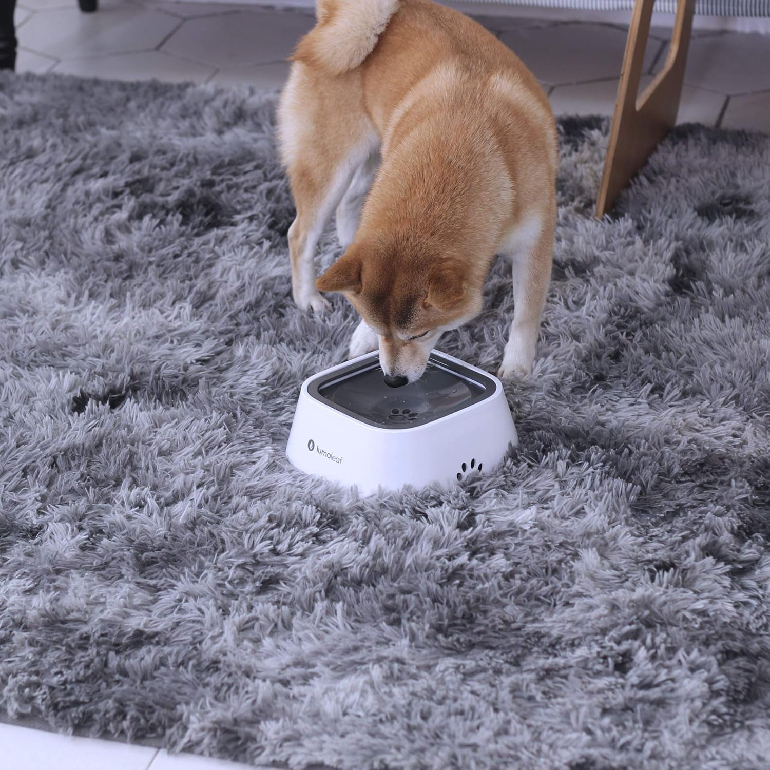 No-Spill Water Bowl for Dogs - Slow Feeder with Drip-Free, Splash-Proof Design (Grey, 35 Oz)